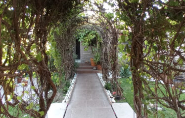 CASA 1 PLANTA EN ZONA RESIDENCIAL