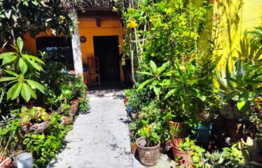 CASA CON LOCAL ZONA CON TODOS LOS SERVICIOS