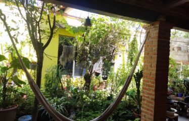 CASA CON LOCAL ZONA CON TODOS LOS SERVICIOS