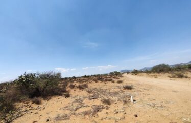 DOS TERRENOS 250 m2 c/u ZONA EN CRECIMIENTO