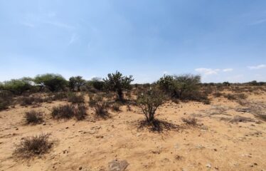 DOS TERRENOS 250 m2 c/u ZONA EN CRECIMIENTO