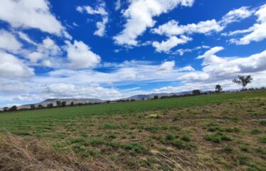 RANCHO/TERRENO 4.8 HAS PARA SIEMBRA O INVERNADERO