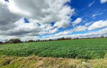 RANCHO/TERRENO 4.8 HAS PARA SIEMBRA O INVERNADERO