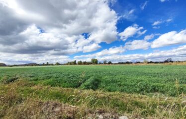 RANCHO/TERRENO 4.8 HAS PARA SIEMBRA O INVERNADERO