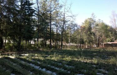 RANCHO/TERRENO 48,969.20 m2 CON OJO DE AGUA