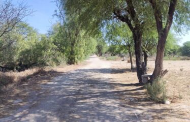 DOS TERRENOS 1,124 m2 c/u A 5 MIN. DEL CENTRO