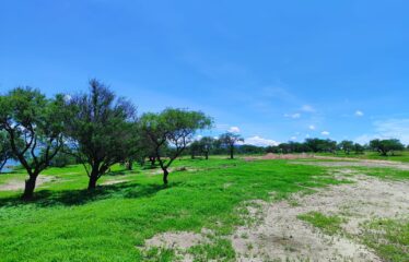 TERRENO 202.26 m2 EN FRACC. VALLE DEL LAGO