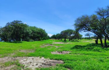 TERRENO 202.26 m2 EN FRACC. VALLE DEL LAGO