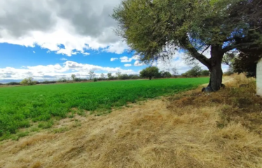 RANCHO/TERRENO 3.5 HAS. AGUA PARA PROYECTO AGRICOLA O DESANSO