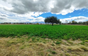 RANCHO/TERRENO 3.5 HAS. AGUA PARA PROYECTO AGRICOLA O DESANSO