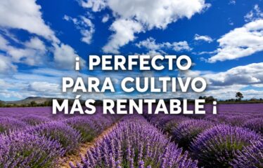 RANCHO/TERRENO 4.8 HAS PARA SIEMBRA (MÁS RENTABLE)